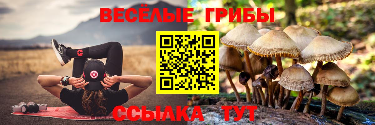 Галлюциногенные грибы ЛСД  Вход с VPN  Шадринск 